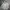 Nike Streetwear Sportswear Hoody Pria gray photo 2