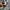 Nike Streetwear Sportswear Hoody Pria gray photo 5