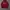 Champion Casual Hoody Pria red photo 1