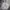 Adidas Streetwear Sportswear Hoody Pria gray photo 2