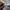 Adidas Streetwear Sportswear Hoody Pria gray photo 6