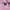 MLB Streetwear Sportswear Hoody Pria multicolor purple photo 4