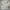 Adidas Casual Polo shirt Pria white photo 1