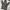 Carhartt Vintage Streetwear Hoody Pria khaki brown photo 3