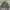 Urban Research Streetwear Formal shirt Pria green photo 1