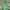 Adidas Gorpcore Sportswear Track jacket Pria green photo 5