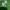 Adidas Gorpcore Sportswear Track jacket Pria green photo 6