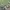 Adidas Gorpcore Sportswear Track jacket Pria green photo 4