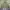 Vintage Y2K Track Jacket Pria Green