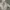 Nike Y2K Varsity jacket Pria gray photo 3