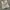 Nike Y2K Varsity jacket Pria gray photo 1