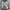 Nike Casual Sneakers Pria gray photo 2