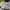Nike Casual Sneakers Pria gray photo 4