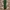 Casual Casual pants Pria green photo 1