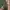 Casual Casual pants Pria green photo 6