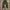 Casual Casual pants Pria green photo 7