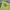 have a good time Streetwear Casual Hoody Pria green blue photo 1