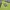 Have A Good Time Streetwear Casual Hoody Pria Green Blue
