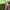 have a good time Streetwear Casual Hoody Pria green blue photo 4