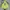 have a good time Streetwear Casual Hoody Pria green blue photo 2