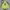 Have A Good Time Streetwear Casual Hoody Pria Green Blue