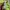 have a good time Streetwear Casual Hoody Pria green blue photo 7