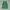 Casual Vest Wanita green photo 4
