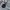 Japanese brand Y2K Grunge Jewellery Kids black photo 4