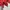 Dickies Sportswear Hoody Pria red photo 5