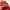 Dickies Sportswear Hoody Pria red photo 4