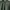 Gildan Casual T-shirt Pria green photo 4