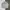Streetwear Skater Sweater Pria gray photo 1