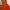 H&M Streetwear Sportswear Hoody Pria orange photo 6