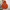 H&M Streetwear Sportswear Hoody Pria orange photo 1