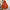 H&M Streetwear Sportswear Hoody Pria Orange