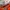 H&M Streetwear Sportswear Hoody Pria orange photo 5