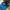 Adidas Casual Casual Shoe Pria Blue
