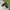 Nike Sportswear Casual Casual shoe Pria black photo 3