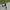 Vans Streetwear Casual Sneakers Pria white black photo 3