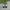 Vans Streetwear Casual Sneakers Pria white black photo 1