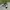 Vans Streetwear Casual Sneakers Pria white black photo 2