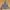 Made in USA Y2K Sportswear Hoody Pria gray photo 3