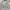 Adidas Streetwear Sportswear Hoody Pria cream photo 3