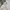 Adidas Streetwear Sportswear Hoody Pria Cream