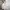 Adidas Streetwear Sportswear Hoody Pria Cream