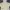 Casual Baju bayi Kids yellow photo 3