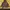 Japanese brand Streetwear Y2K Hoody Pria brown photo 4
