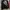 Rocawear Streetwear Y2K Hoody Pria multicolor black photo 2