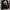 Rocawear Streetwear Y2K Hoody Pria Multicolor Black
