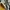 Rocawear Streetwear Y2K Hoody Pria multicolor black photo 5